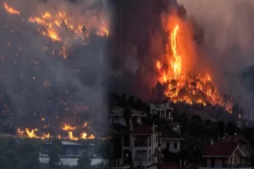 பற்றி எரியும் காட்டுத் தீ; 19 ஆயிரம் பேர் வெளியேற்றம் - அச்சத்தில் சுற்றுலாப் பயணிகள்!