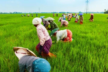 விவசாயிகளுக்கு சந்தோஷத்தை தரக்கூடிய புதிய திட்டம்!