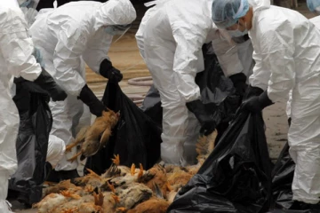 உடனடியாக தகவல் வழங்கவும்! சுவிஸ் மக்களுக்கு எச்சரிக்கை - இப்படிக்கு உலகம்