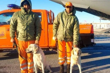 துருக்கி பூகம்பம்; 6 வயது சிறுமி மீட்பு; ஹீரோக்காளான ஐந்தறிவு ஜீவன்கள் !