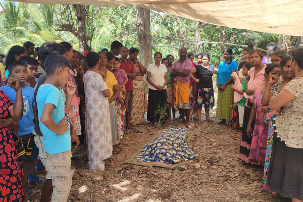 யானை தாக்கியதில் பெண் உயிரிழப்பு | Woman Killed In Elephant Attack