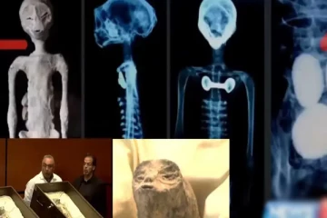 மெக்சிகோவில் ஏலியன் சடலங்கள்... வைரலாகும் வீடியோ!