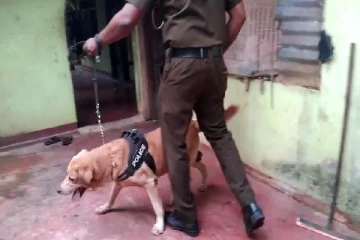 யாழ்ப்பாணத்தில் காவல்துறையினரால் சுற்றிவளைக்கப்பட்ட வீடு (படங்கள்)