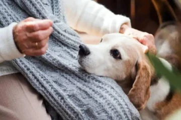 நாய் செல்லமாக நக்கியதில் உயிரிழந்த பெண் - டாக்டர் சொன்ன காரணம்!