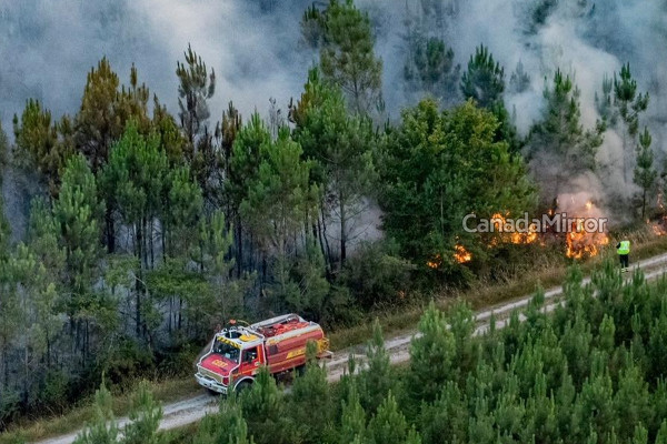 கனடாவை தொடர்ந்து பிரான்ஸில் பற்றியெறியும் காடுகள்; முதன் முறையாக விடுக்கப்பட்ட எச்சரிக்கை | Alert Issued To 5 Districts In France