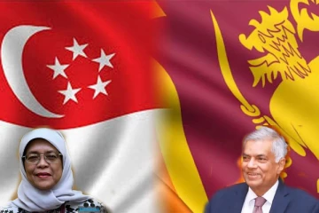 சிங்கப்பூர் ஜனாதிபதியை சந்தித்துள்ள ரணில்!