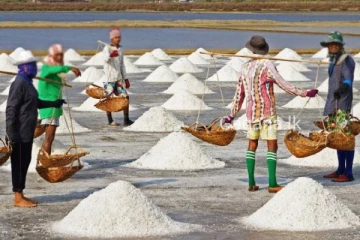 ලුණු සම්බන්ධයෙන් රට තුල අවධානම් තත්ත්වයක්..