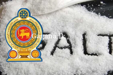 රජය ගත් තීරණයත් එක්ක.. දිවයිනට එන පළමු ලුණු තොගය..