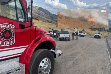 சிலந்திக்கு பயந்து... பெரும் காட்டுத்தீக்கு காரணமான நபர்: பகீர் சம்பவம்