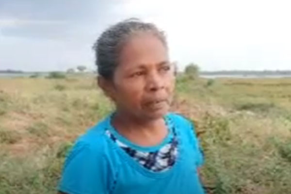 காயமடைந்த யானையின் பரிதாப நிலை: மக்கள் விடுத்துள்ள கோரிக்கை (Video) | Elephant Wounded Mouth Wildlife Officials Unaware