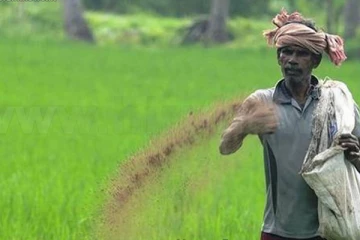 யூரியா உரத்தை இறக்குமதி செய்ய நடவடிக்கை