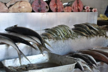 මාළු මිලෙහි එකවර වූ වෙනස..