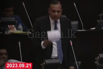 පාස්කු ප්‍රහාරය වෙනුවෙන් ජාත්‍යන්තර පරීක්ෂණයක් ඉල්ලයි.