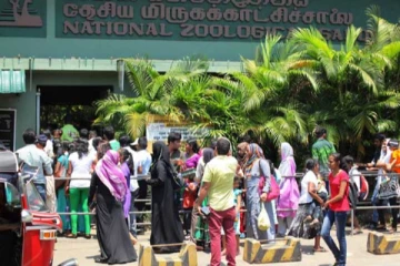 ඔබට අද සහ හෙට නොමිලේ ලැබෙන අනගි අවස්ථාවක් මෙන්න..