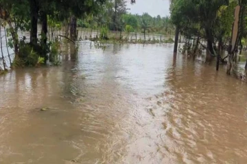 முக்கிய தமிழர் பகுதியை சூழ்ந்த வெள்ள நீர்: 182 குடும்பங்களுக்கு ஏற்பட்ட நிலை