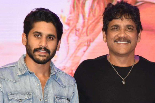 சமந்தா, நாகசைதன்யா இரண்டாம் திருமணம்.. மகனுக்காக தந்தை நாகார்ஜுனா எடுத்த முடிவு | Naga Chaitanya Second Marriage With Relative Girl