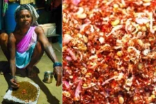 சிவப்பு எறும்பு சட்னி கொரோனாவை குணப்படுத்துமா?-மத்திய அரசுக்கு ஒடிசா நீதிமன்றம் நோட்டீஸ்