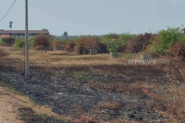 யாழில் விசமிகளின் மோசமான செயல்: தீயில் கருகிய மரக் கன்றுகள்! | Saplings Destroyed By Fire In An Area Of Jaffna
