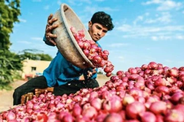 அதிரடியாக குறைந்த வெங்காய விலை.. 1 கிலோ எவ்வளவு?