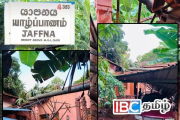 யாழில் வீட்டின் மீது முறிந்து விழுந்த மரம்