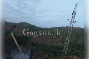 ලුණුගලගම රක්ෂිතය ගිනි ගනී