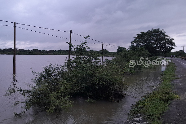 மன்னாரில் மழைநீர் சேமிக்கும் திட்டத்தை நடைமுறைப்படுத்துமாறு கோரிக்கை | Rainwater Harvesting Project In Mannar District