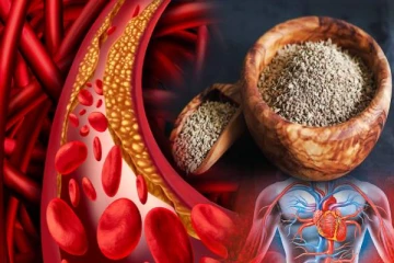 Ajwain Seeds: கொலஸ்ட்ரால் பிரச்சினைக்கு தீர்வு கொடுக்கும் ஓம விதைகள்
