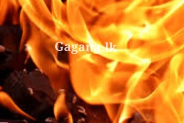 ගින්නකට පිළිස්සීමෙන් කාන්තාවක් ජිවිතක්ෂයට - සංවේදී පුවතක්.