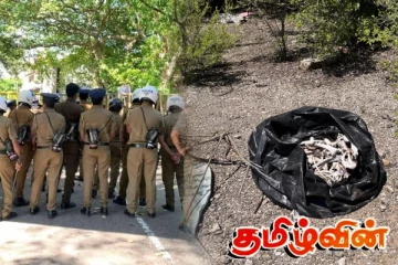 தென்னிலங்கையில் வீடொன்றுக்குள் மர்மம் : 4 மனித மண்டை ஓடுகளால் பரபரப்பு