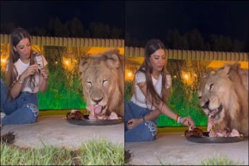 ஒரே தட்டில் சாப்பிடும் பெண்ணும் சிங்கமும்! (வீடியோ)