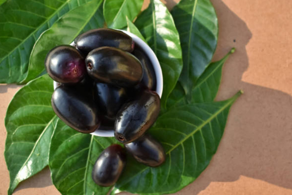 நீரழிவு நோயால் இனி பயம் வேண்டாம்.. இந்த ஒரு பழம் சாப்பிட்டால் போதும் | Does Java Plum Is Good For Diabetics