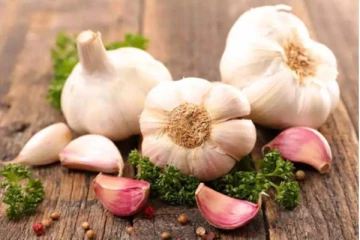 பூண்டு யாரெல்லாம் சாப்பிடக்கூடாது? அனைவரும் தெரிந்து கொள்ள வேண்டிய விடயம்