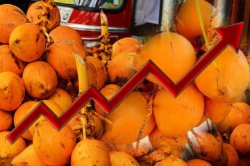 சந்தையில் செவ்விளநீருக்கு அதிக கிராக்கி