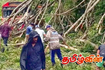 ஹட்டன்-கொழும்பு பிரதான வீதியில் பாரிய மரம் விழுந்து போக்குவரத்து பாதிப்பு!