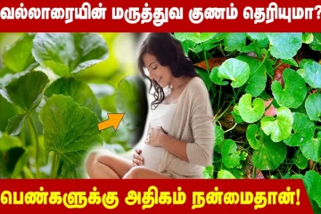வல்லாரை கீரை உண்பதால் கிடைக்கும் பயன் என்ன தெரியுமா?