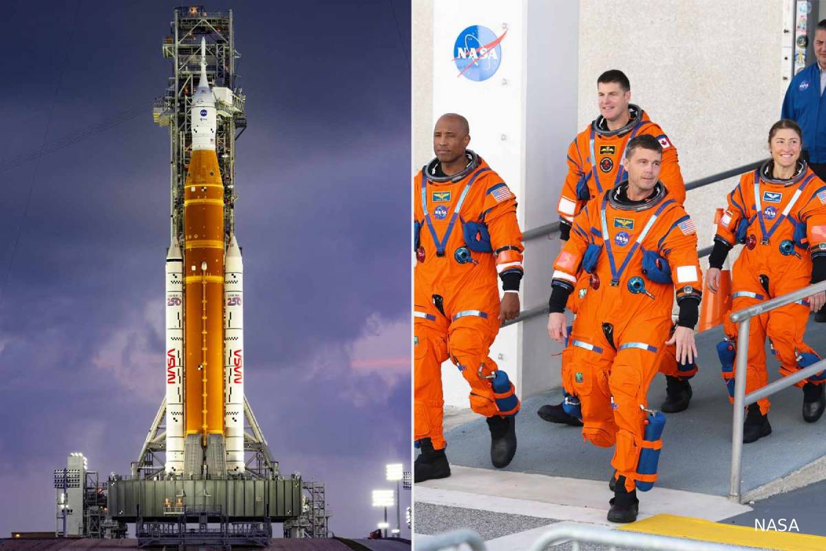 விண்வெளிக்கு விதைகளை அனுப்பும் கனடா... ஒரு சுவாரஸ்ய தகவல் | Canadian Seeds Are Send To Moon By Artemis 2