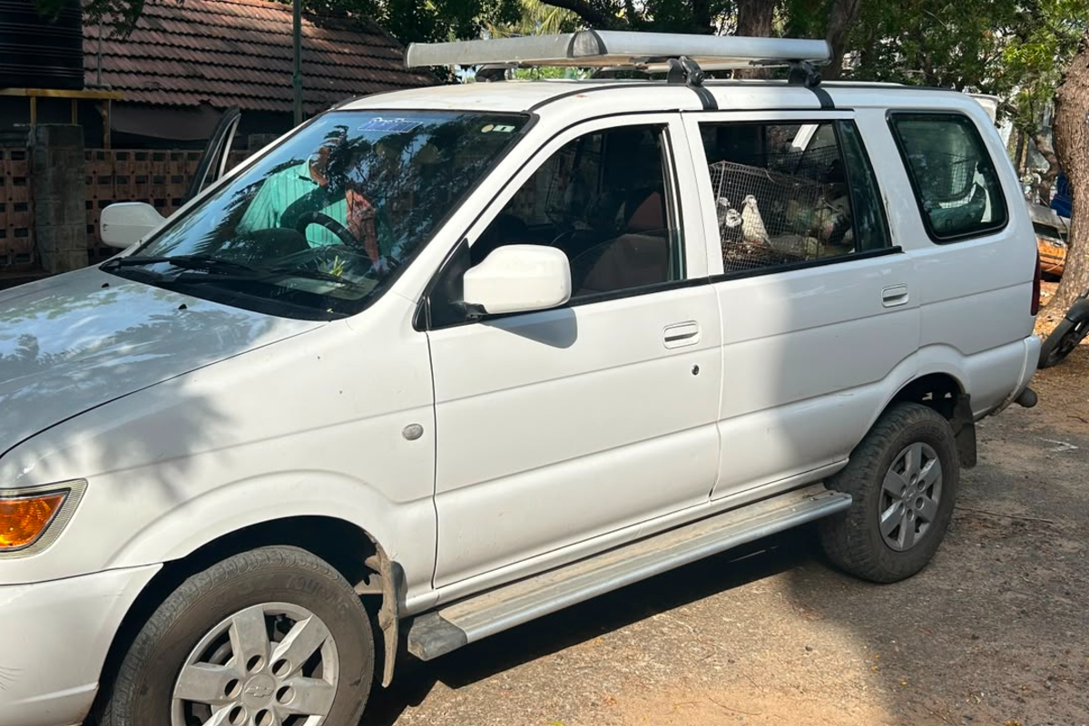 இலங்கைக்கு கடத்துவதற்காக கொண்டுவரப்பட்ட 120 பந்தய புறாக்கள்! பாம்பன் அருகே பறிமுதல் | 120 Racing Pigeons To Be Smuggled To Sri Lanka இலங்கைக்கு கடத்துவதற்காக கொண்டுவரப்பட்ட 120 பந்தய புறாக்கள்! பாம்பன் அருகே பறிமுதல் | 120 Racing Pigeons To Be Smuggled To Sri Lanka