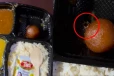 குலாப்ஜாமூனுடன் கரப்பான் பூச்சி வழங்கிய IRCTC - வேதனையுடன் வீடியோ வெளியிட்ட பயணி