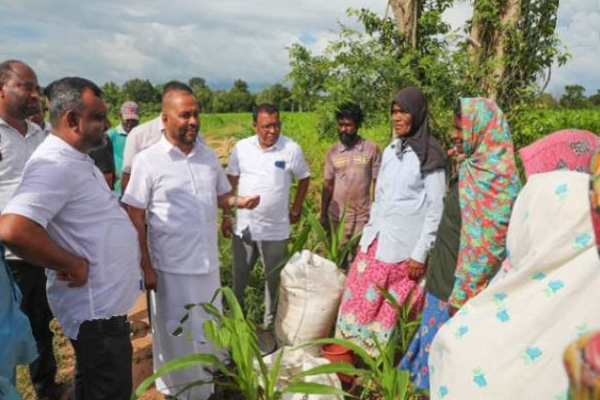 திடீரென களத்தில் இறங்கிய விவசாய அமைச்சர் மஹிந்த அமரவீர! | Anuradhapura Visit Agriculture Minister Mahinda
