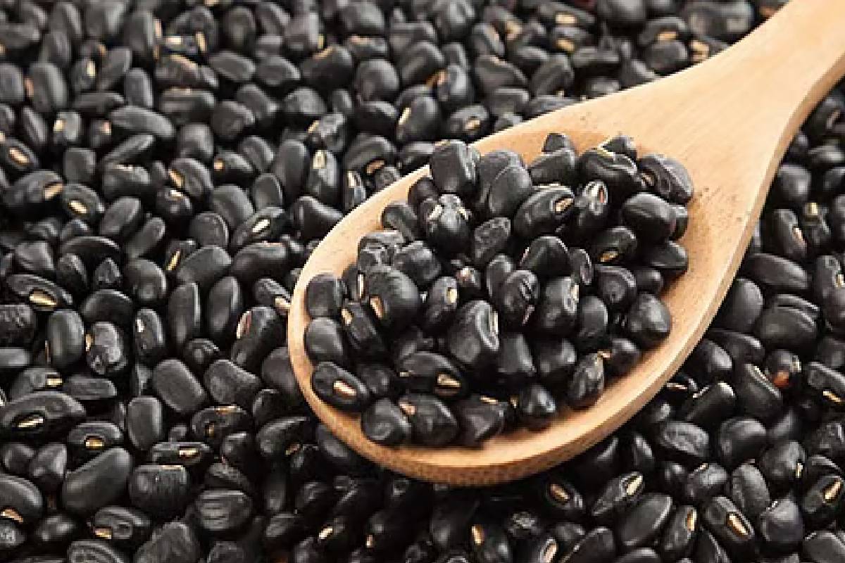 ஆரோக்கியமான குடலுக்கு 5 சிறந்த உணவுகள் : டாக்டர் பால் பரிந்துரை | Dr Pal Recommends These 5 Foods For Healthy Gut