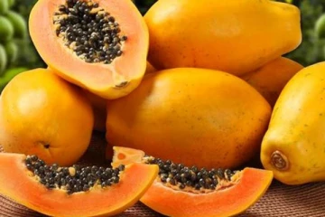 ஞாபக சக்தி அதிகமாகும்! குண்டான உடல் படிப்படியாக மெலியும்... இந்த ஒரு பழத்தில் இத்தனை நன்மைகளா!