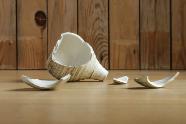 தவறியும் வீடுகளில் இந்த பொருட்களை வைத்து விடாதீர்கள்.. பண கஷ்டம் வருமாம் | Never Keep Broken Objects At Home According Vastu