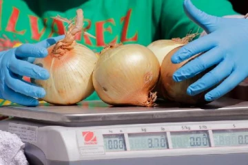 கனடாவில் வெங்காயம் தொடர்பில் மீண்டும் வெளியான தகவல்