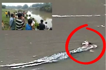 மனிதனைக் கொன்று ஆற்றுக்குள் இழுத்துச்சென்ற முதலை; மறுநாள் எச்சங்கள் மீட்பு., தீயாய் பரவும் வீடியோ