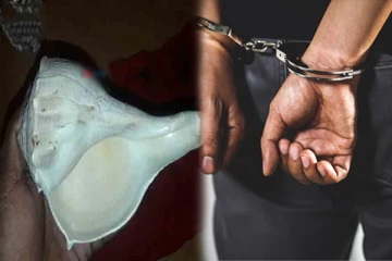 ஐம்பது இலட்சம் பெறுமதியான வலம்புரி விற்பனை: சந்தேக நபர் கைது