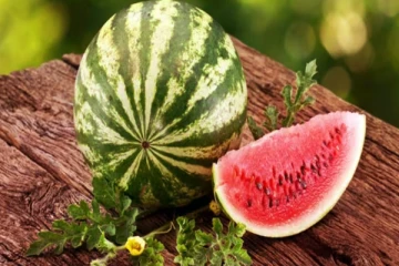 போலி VS உண்மையான தர்பூசணி: வீட்டிலேயே கண்டறிய வழிகள் என்ன?