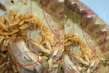 பிரியாணியில் புழு; பதறிய கஸ்டமர் - அசால்ட்டாக பதில் சொன்ன ஸ்விக்கி ஊழியர்!