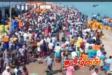 வலையில் சிக்கிய அரிய வகை கடல் ஆமையை உயிருடன் பத்திரமாக கடலில் விட்ட கடற்றொழிலாளர்கள்