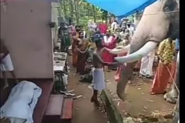 மறைந்த பாகனுக்கு கண்ணீர் அஞ்சலி செலுத்திய யானை - நெகிழ்ச்சி வீடியோ