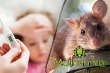 வெள்ள அனர்த்தத்தின் பின்னர் மக்களுக்கு விடுக்கப்பட்டுள்ள எச்சரிக்கை